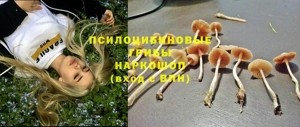 соль курить ск Абаза