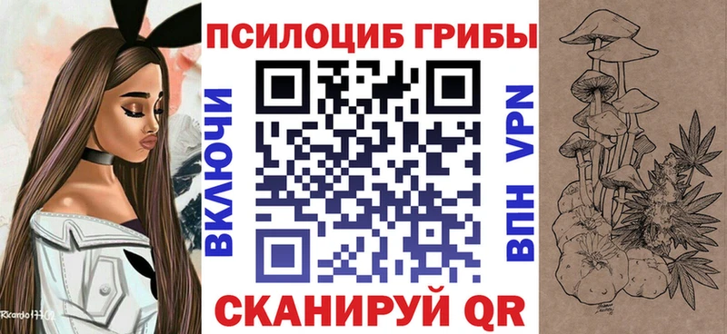 OMG вход  Игарка  Галлюциногенные грибы Cubensis  купить  сайты 